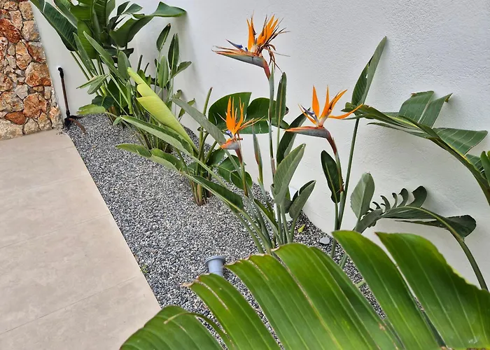 Luxe Nieuwe Met Zwembad Kalithiész